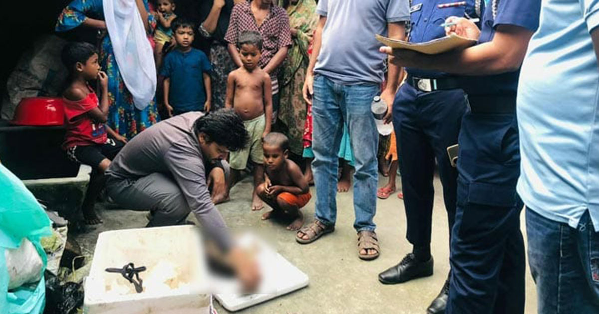 বগুড়ায় মাছ খাওয়ায় বিড়ালকে হত্যা, থানায় অভিযোগ