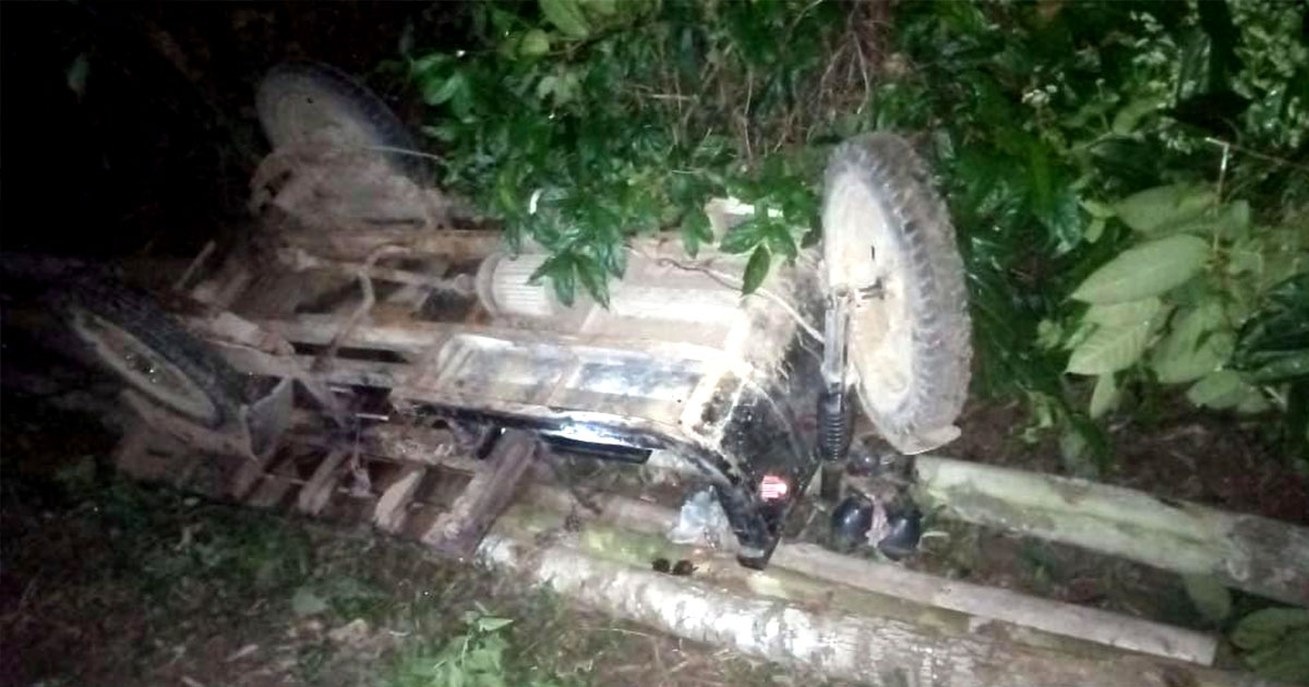 শেরপুরে কাঠবোঝাই ট্রলি উল্টে চালক নিহত