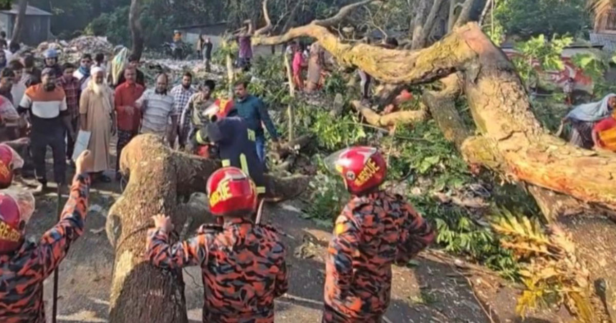 ঢাকা-বরিশাল মহাসড়কে গাছ ফেলে অবরোধ, স্থবির যান চলাচল