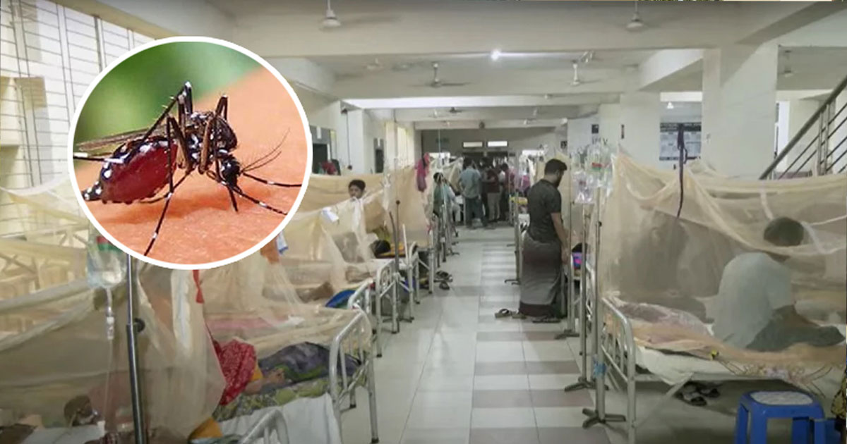 ২৪ ঘণ্টায় ডেঙ্গুতে আরও ৪ জনের মৃত্যু, হাসপাতালে ৭৪৫