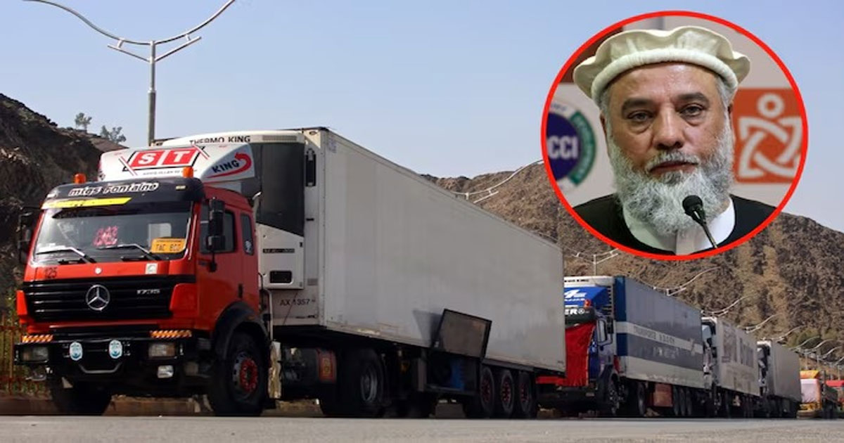 পাকিস্তানকে 'বাইপাস' করে ভারত-আফগানিস্তান বাণিজ্য জোরদারে নতুন পথ