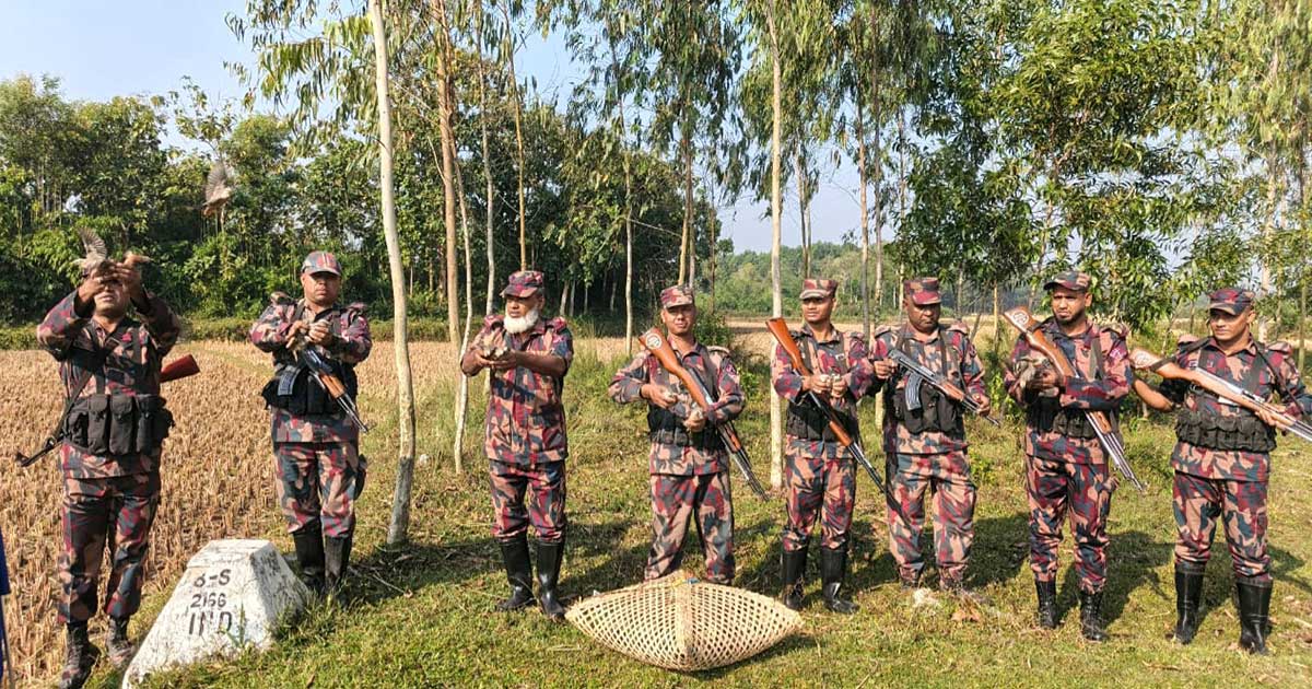পরশুরাম সীমান্তে বন্য পাখিকে মুক্ত করলো  বিজিবি