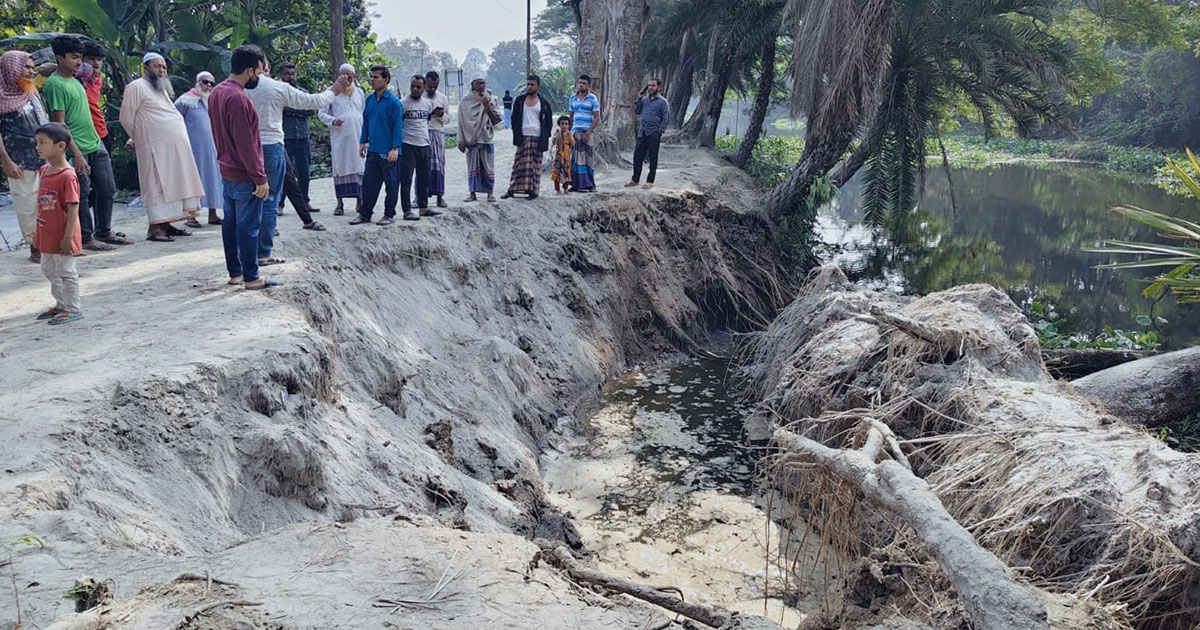কোটালীপাড়ায় খাল পুনঃখনন করতে গিয়ে ধসে পড়ছে সড়ক