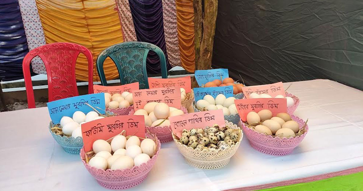 কালিহাতীতে জাতীয় প্রাণীসম্পদ সপ্তাহের রঙিন সূচনা