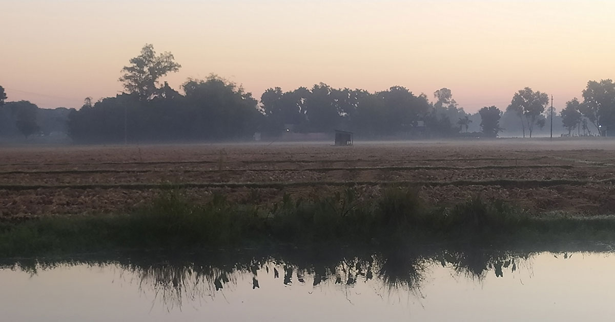 হিমেল হাওয়ায় কাঁপছে পঞ্চগড়, তেঁতুলিয়ায় তাপমাত্রা ১৩ ডিগ্রি