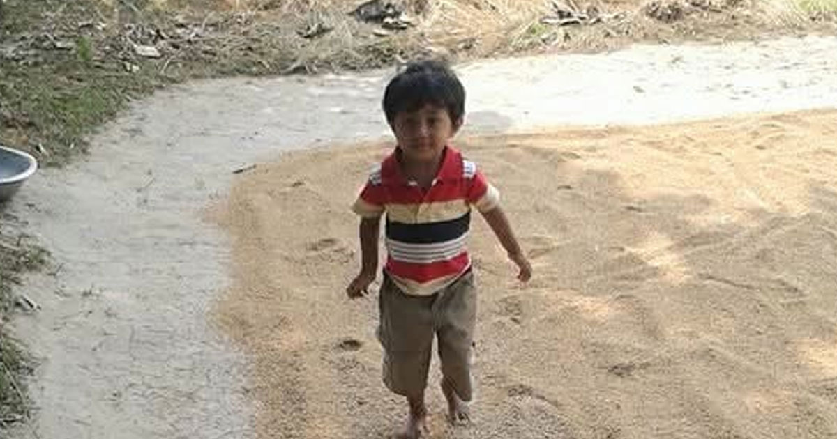 শ্রীপুরে ধান ও সবজিতে মৌসুমি প্রাণচাঞ্চল্য, উৎসবমুখর গ্রামাঞ্চল