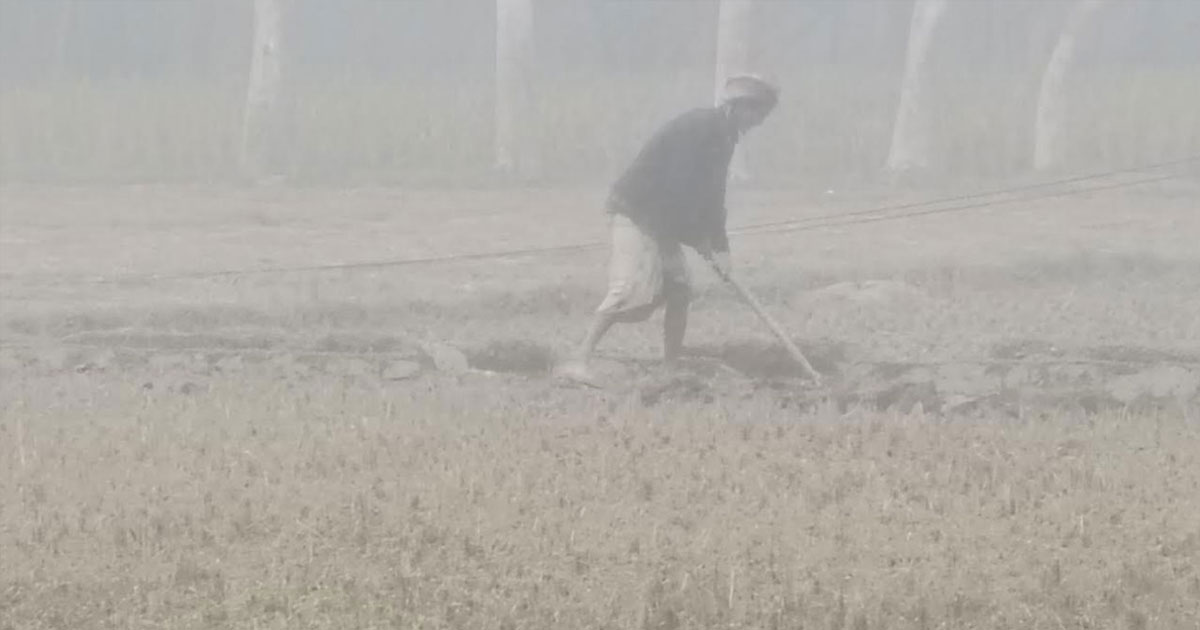 ১২ ডিগ্রি তাপমাত্রায় কুড়িগ্রামে ঠান্ডায় স্থবির জনজীবন