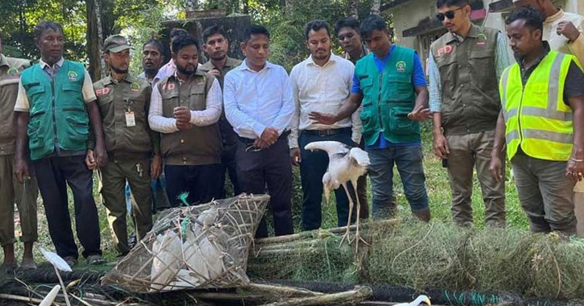 কক্সবাজারে অবৈধ বক শিকারের সরঞ্জাম জব্দ
