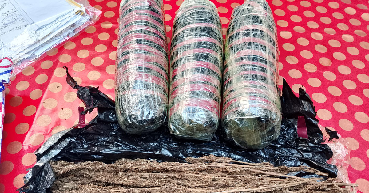 শৈলকুপায় প্রায় দুই কেজি গাঁজাসহ মাদক কারবারী আটক