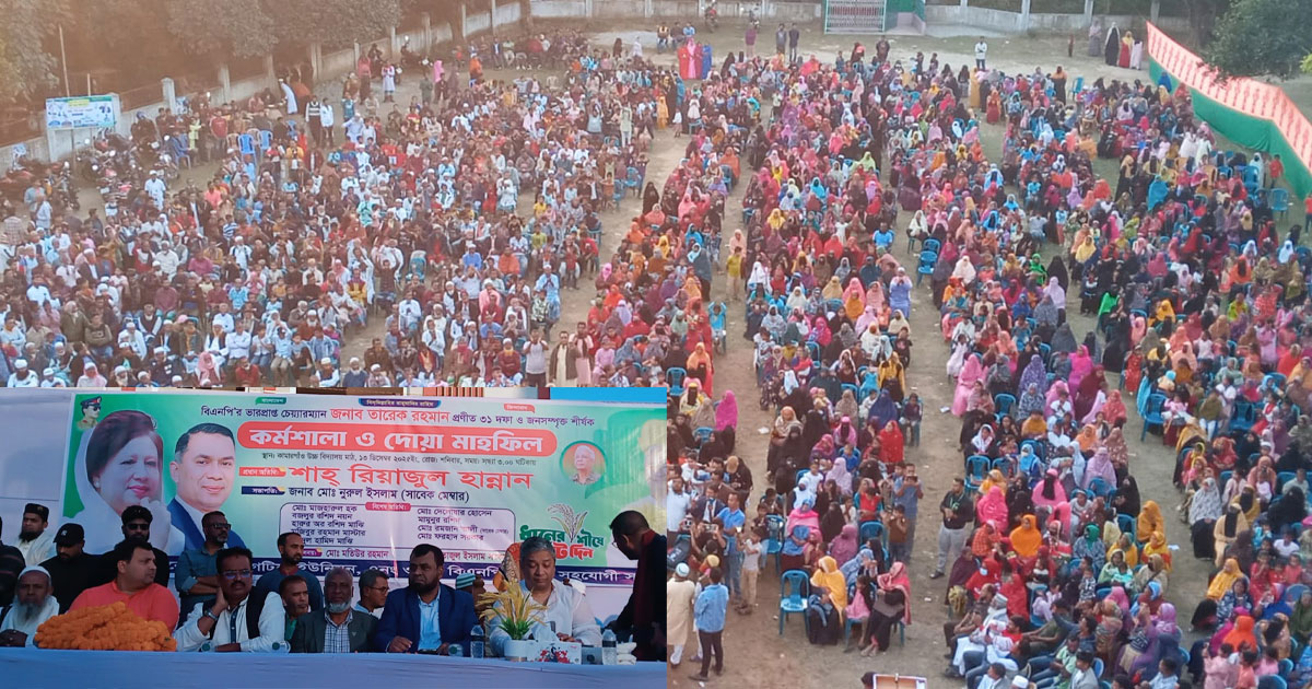 কাপাসিয়ায় পরিবেশবান্ধব শিল্পকারখানা গড়ে তোলা হবে: রিয়াজুল হান্নান