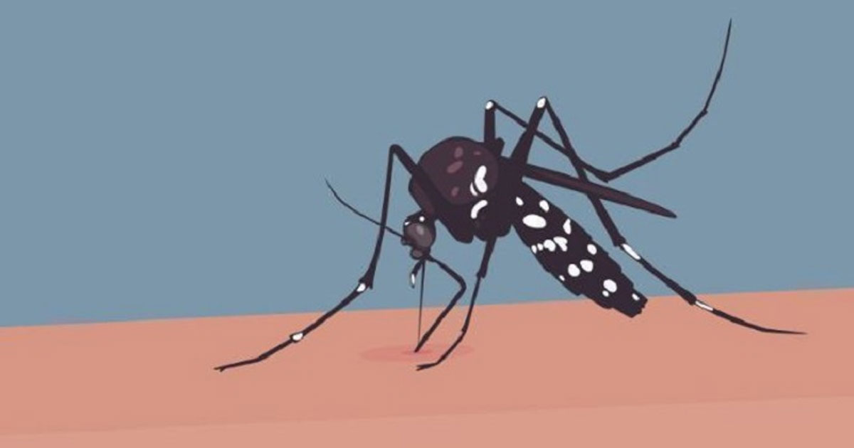 ডেঙ্গুতে মৃত্যু আরও ৫ জনের