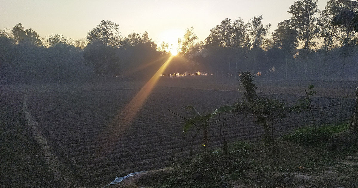 টানা এক সপ্তাহ দেশের সর্বনিম্ন তাপমাত্রা তেঁতুলিয়ায়, কাঁপছে জনজীবন