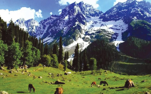 আজাদ কাশ্মীরের বাসিন্দাদের দুই মাসের খাবার মজুদের নির্দেশ