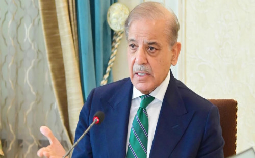 ভারতের হামলাকে ‘কাপুরুষোচিত’ বললেন শেহবাজ শরীফ