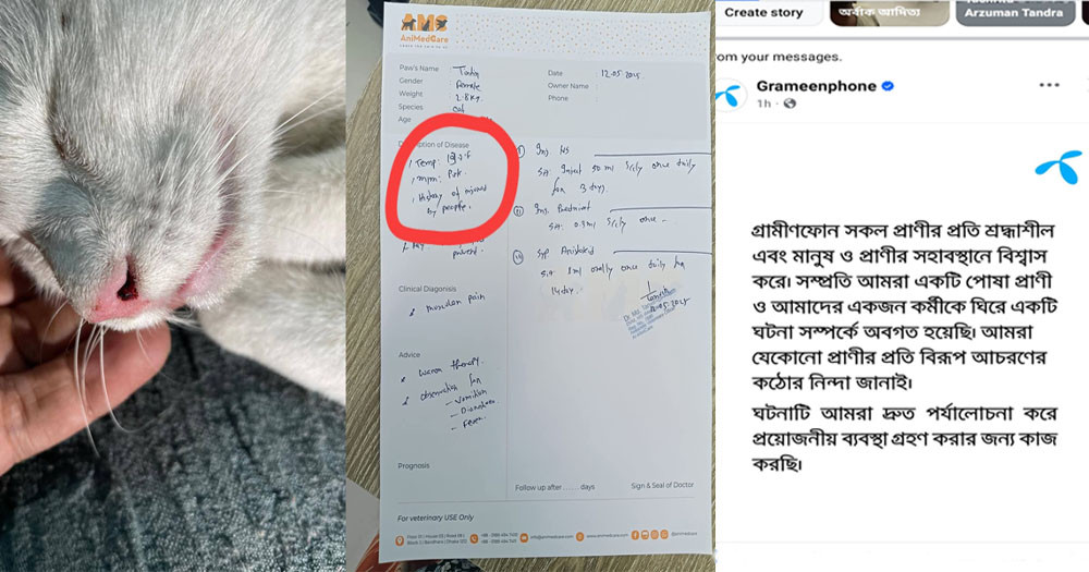 বিড়াল নির্যাতন: সেই উপ-পরিচালকের বিরুদ্ধে ব্যবস্থা নেবে গ্রামীণফোন