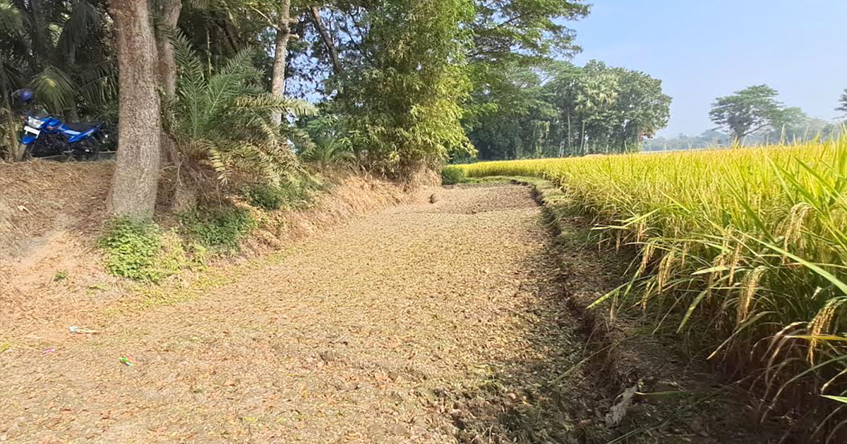 চাঁদপুরে সেচ প্রকল্পের সাড়ে ৩শ’ কিলোমিটার খাল বেদখল