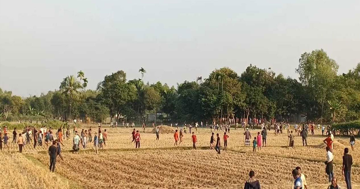 হবিগঞ্জে ধানের খড় শুকানো নিয়ে সংঘর্ষে আহত ৩০