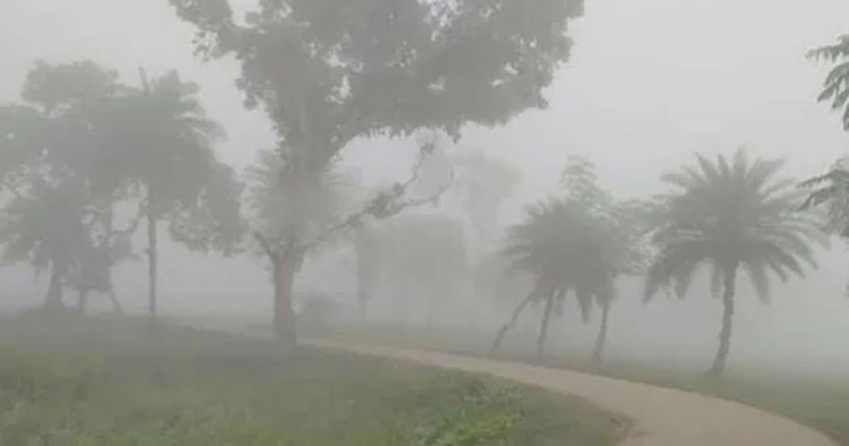 তেঁতুলিয়ায় তাপমাত্রা বেড়েছে, তবে শীতের দাপট কমেনি