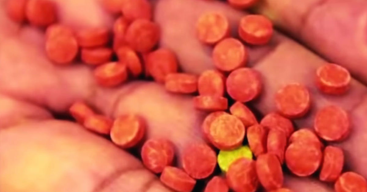 ঠাকুরগাঁওয়ে ইয়াবাসহ মাদক কারবারি গ্রেপ্তার