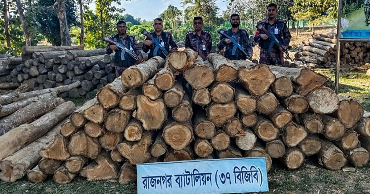 লংগদুতে বিজিবির অভিযানে বিপুল অবৈধ গোলকাঠ জব্দ