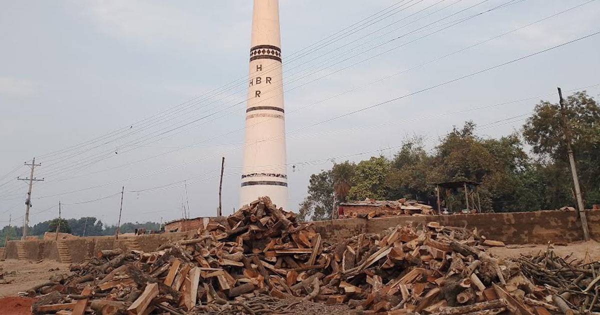 শৈলকুপায় স্কুলের পাশে অবৈধ ইটভাটা: স্বাস্থ্যঝুঁকিতে শিক্ষার্থীরা