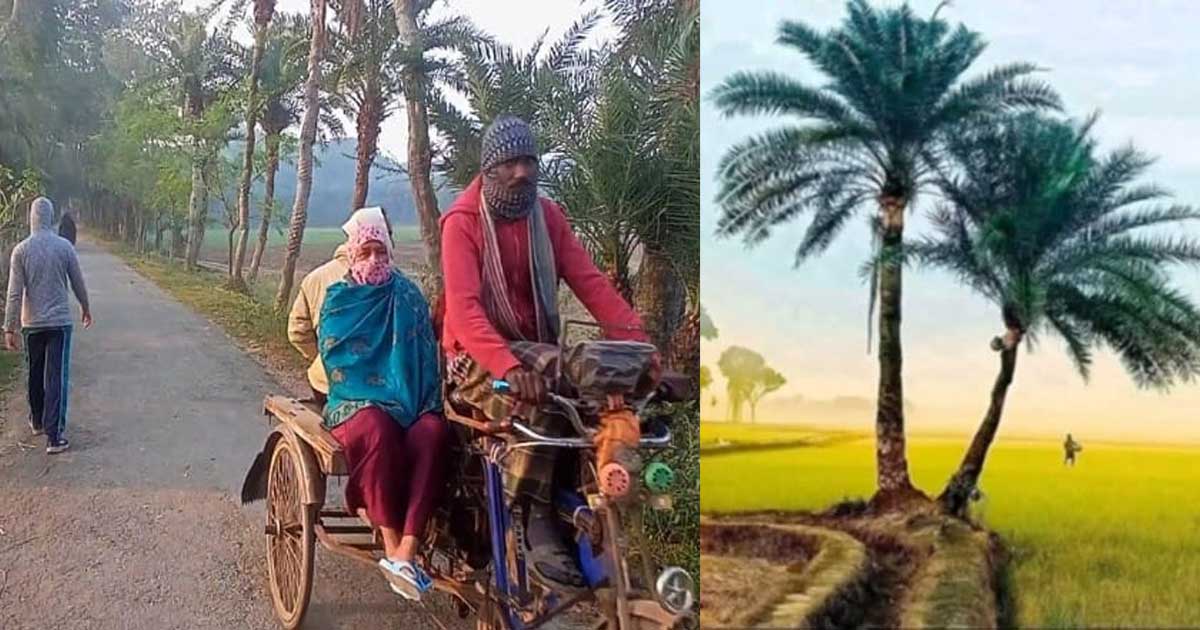 মৌসুমের সর্বনিম্ন তাপমাত্রা যশোরে, শৈত্যপ্রবাহে বিপর্যস্ত জীবন