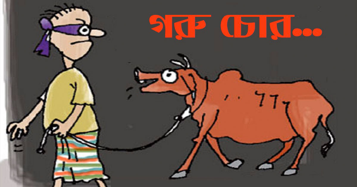 ঠাকুরগাঁওয়ে আন্তঃজেলা গরু চোর চক্রের সদস্য গ্রেপ্তার