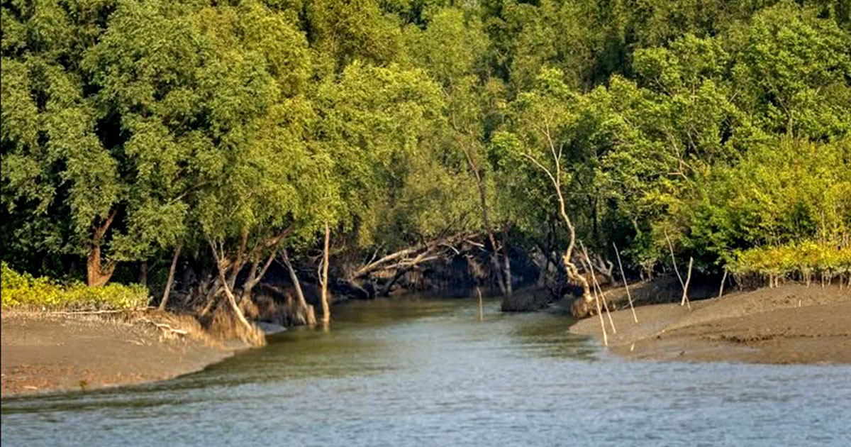 সুন্দরবনে রিসোর্ট মালিকসহ তিন পর্যটক অপহরণ