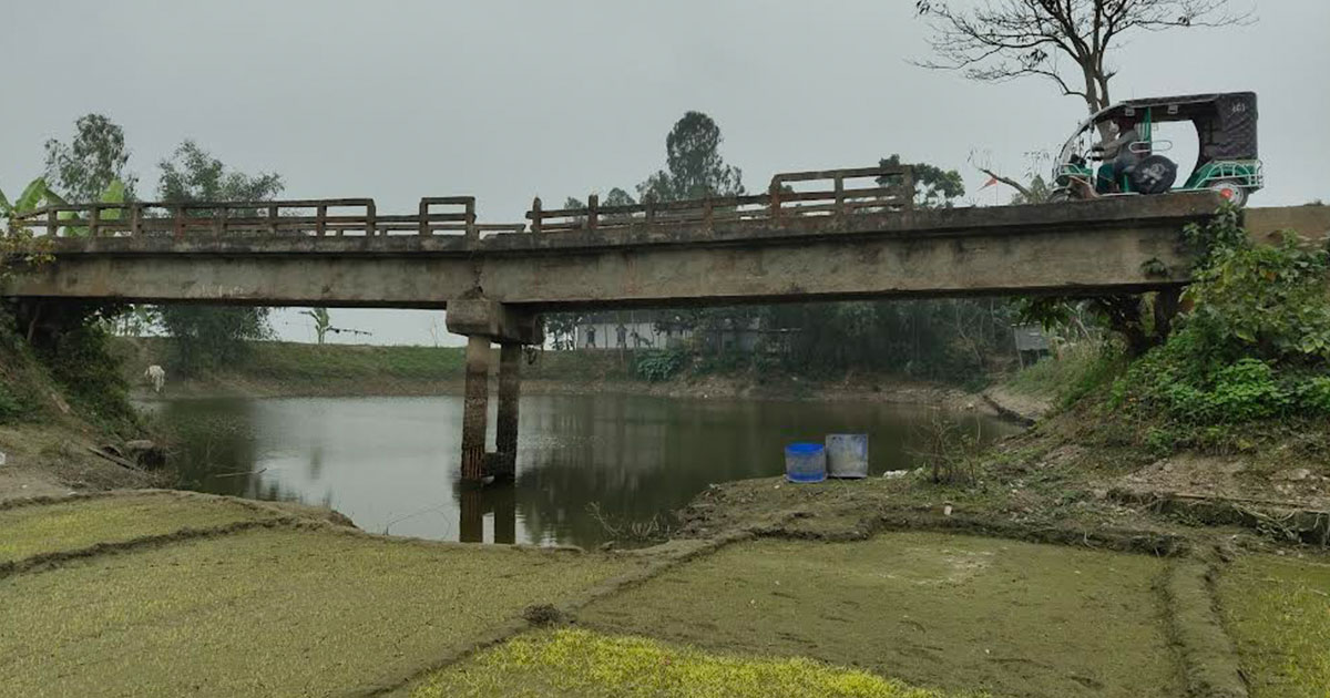 ‘সেতুতে উঠলেই মনে হয় এই বুঝি পড়লাম’