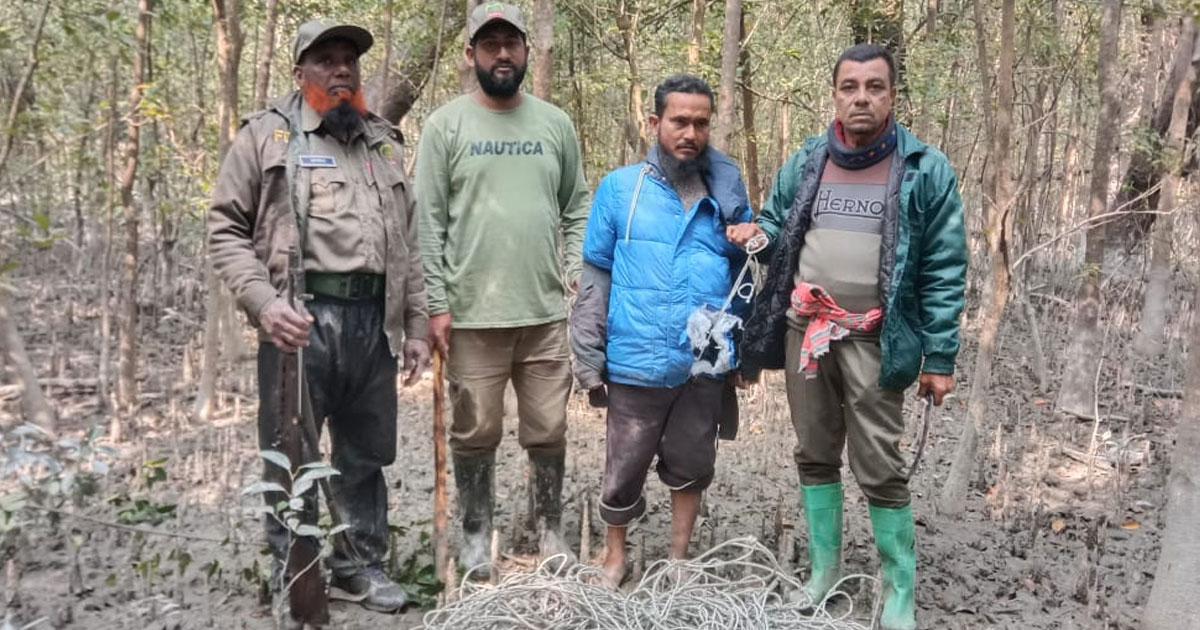 সুন্দরবনের কচিখালীতে ফাঁদে আটক  ‎একটি হরিণসহ শিকারী আটক