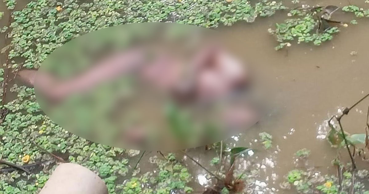 শাহরাস্তি খাল থেকে বৃদ্ধার মরদেহ উদ্ধার