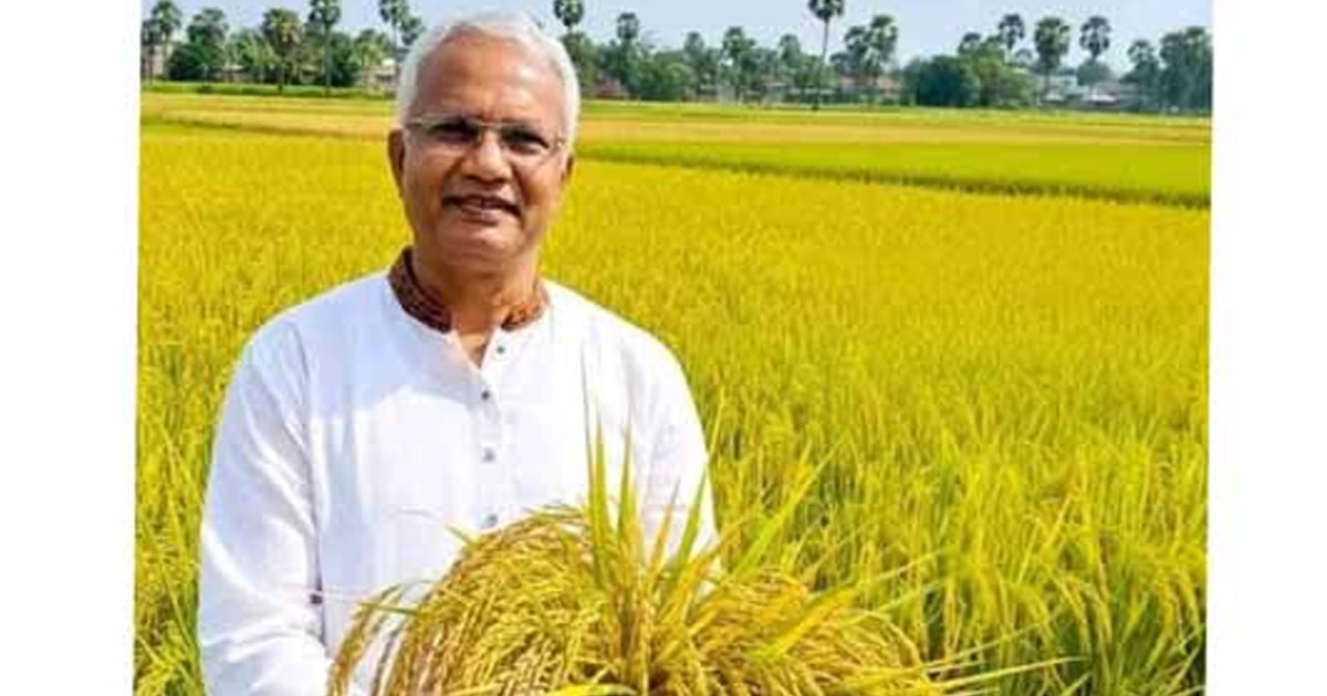 দিনাজপুর-৬ আসনে বিএনপির জাহিদ হোসেন ১৫ হাজার ভোটের ব্যবধানে বিজয়ী