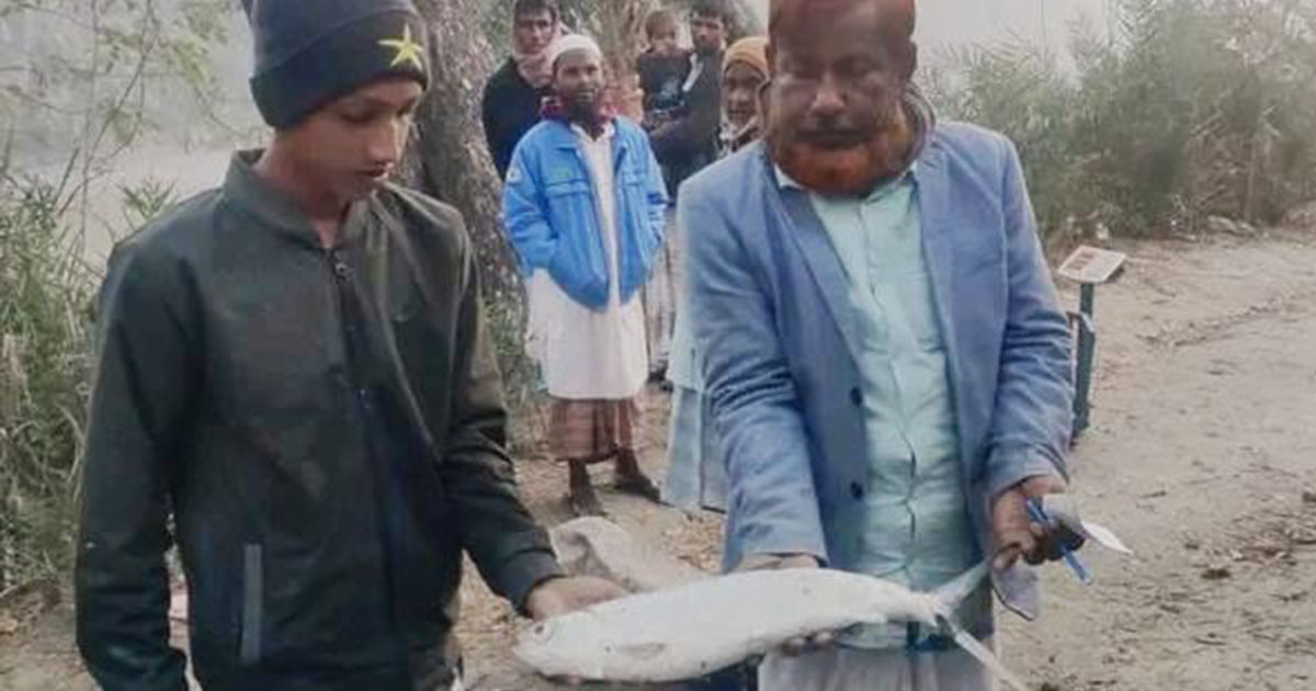 হাতিয়ার নিঝুম দ্বীপে মিলল বিরল প্রজাতির মিল্ক ফিশ