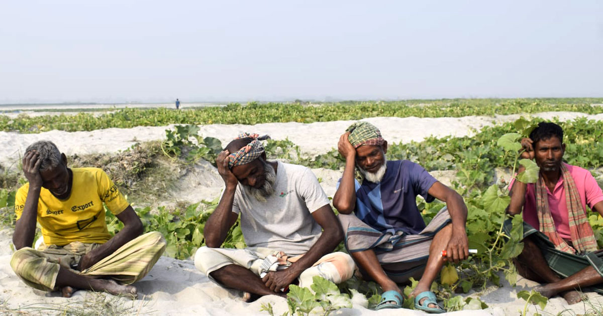 নিম্নমানের বীজে স্বপ্নভঙ্গ, তিস্তা পাড়ের কৃষকের কোটি টাকার লোকসান