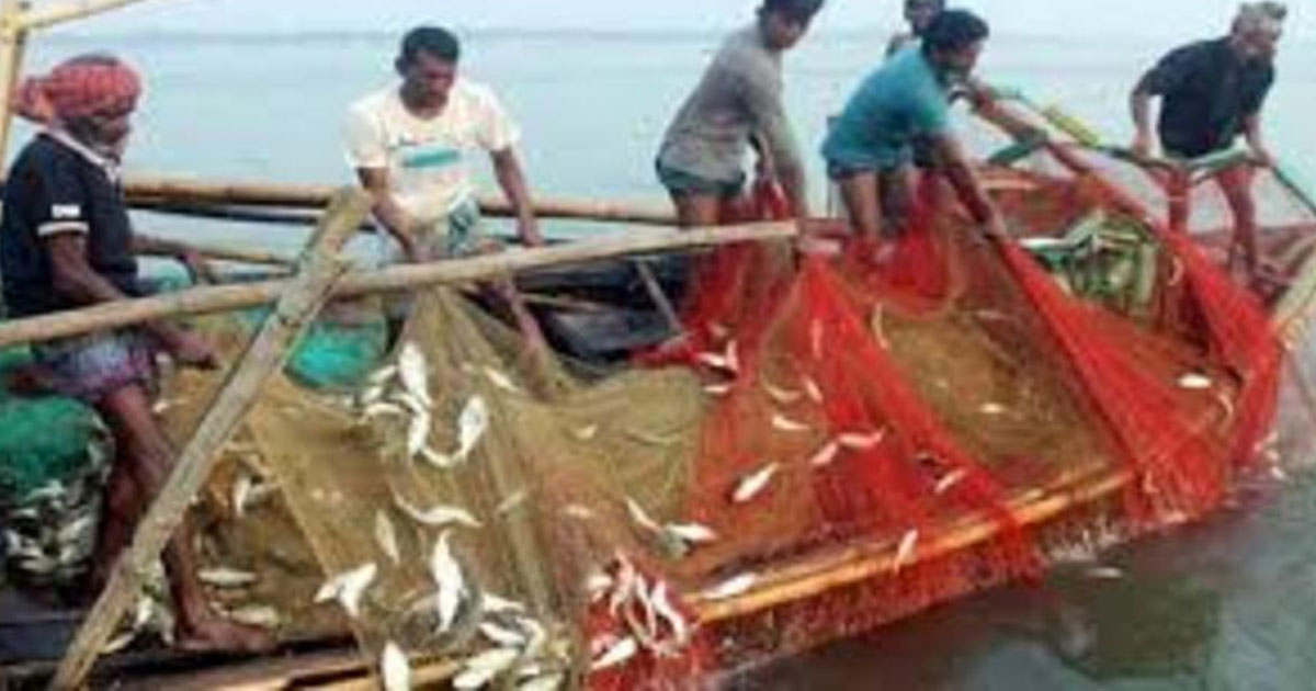 পদ্মা-মেঘনায় দুই মাস মাছ ধরা নিষেধ