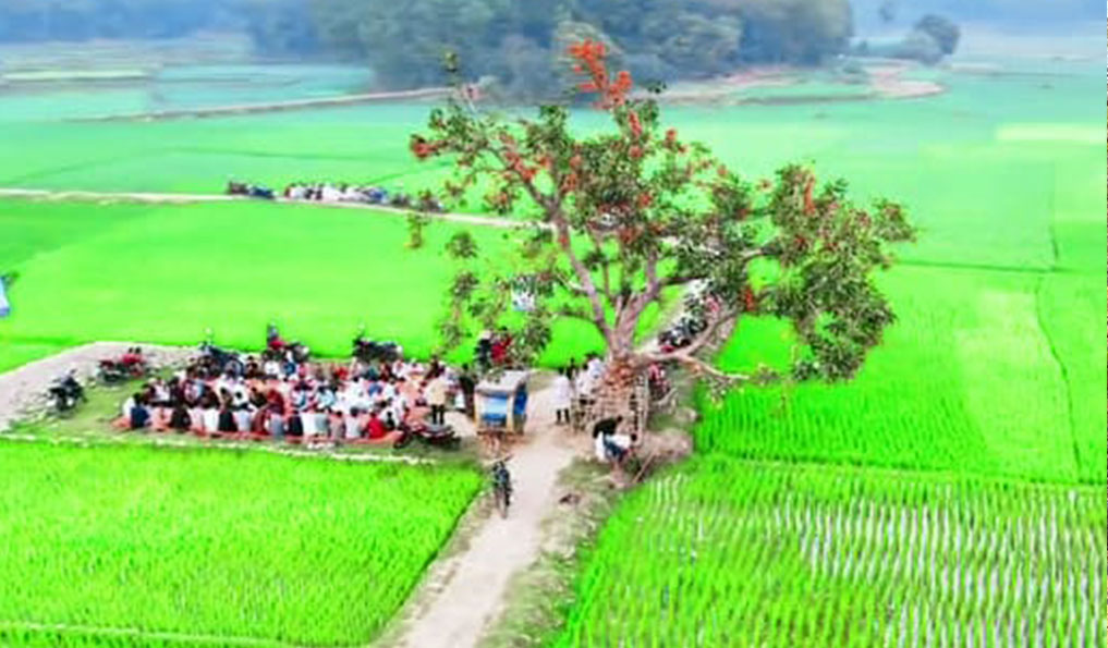 ফেসবুকে ভাইরাল হওয়ায় প্রতিনিয়ত ছুটে আসছে প্রকৃতিপ্রেমীরা