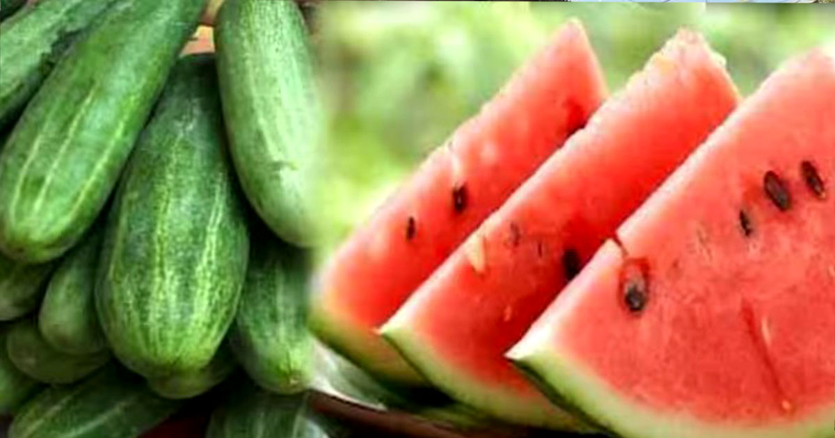 বেনাপোলে তরমুজ ৯০ টাকা কেজি, নেই স্বস্তি লেবু শসাতেও