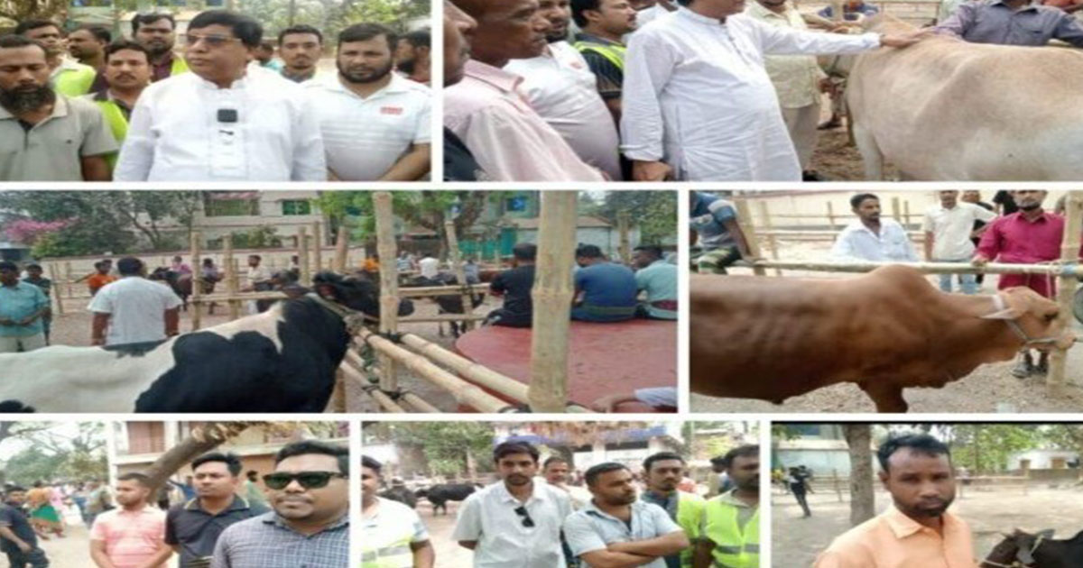 ১৭ বছর পর ফের সচল হচ্ছে ঐতিহ্যবাহী শার্শা নাভারণ পশুর হাট