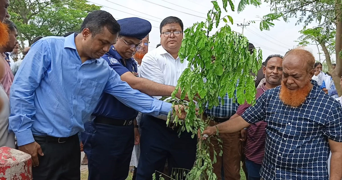 বাগেরহাটে সড়ক বিভাগের বৃক্ষরোপণ কার্যক্রম