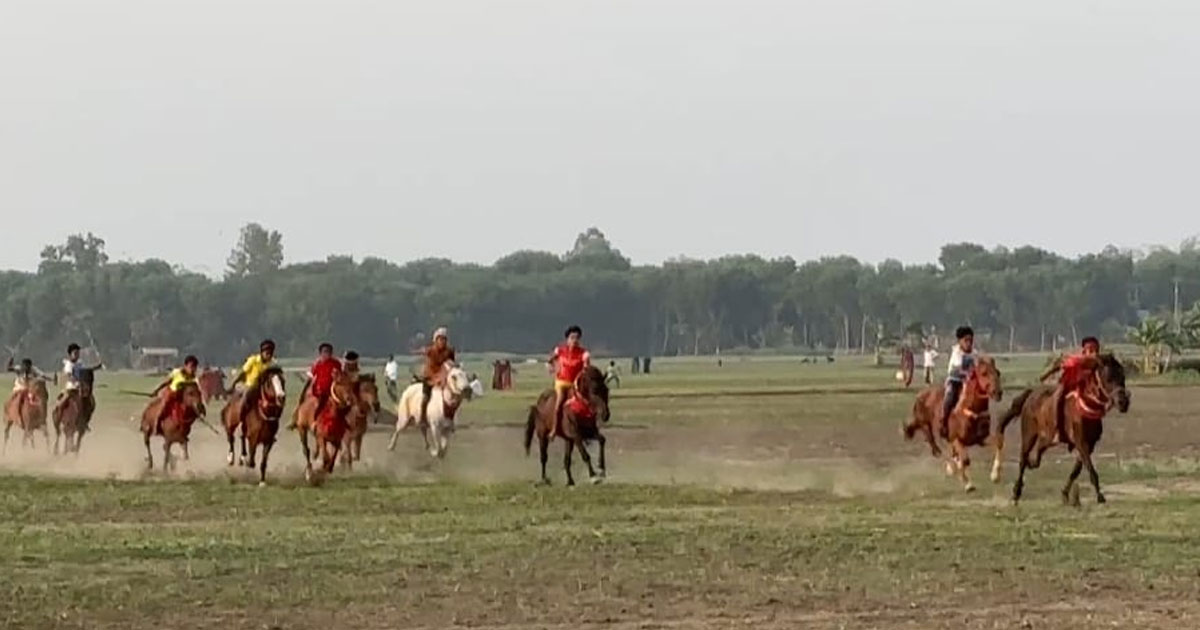 পাংশায় ঐতিহ্যবাহী ঘোড়ার দৌড় প্রতিযোগিতা, দর্শকের ঢল