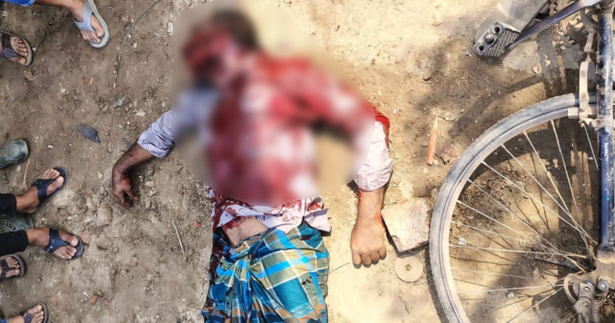 কুষ্টিয়ায় ট্রাকের চাকা বিস্ফোরন, চালক নিহত