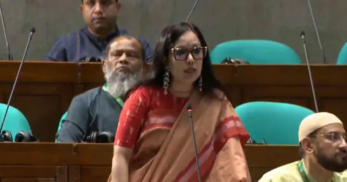 মবের শহরে পরিণত হয়েছে দেশ, বিচারহীনতায় বাড়ছে গণপিটুনি: রুমিন ফারহানা