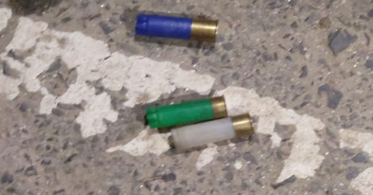 দৌলতপুরে স্বেচ্ছাসেবক দল নেতার ওপর গুলি