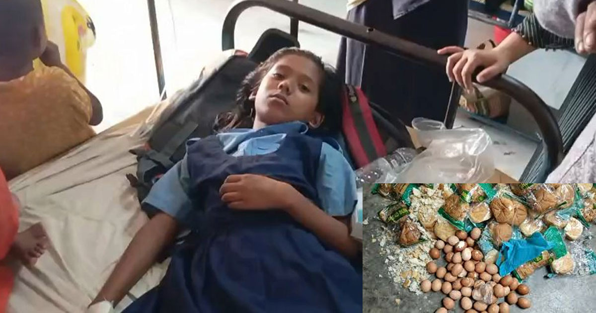 ডিম খেয়ে অসুস্থ শতাধিক শিক্ষার্থী, তদন্তে নামছে সরকার