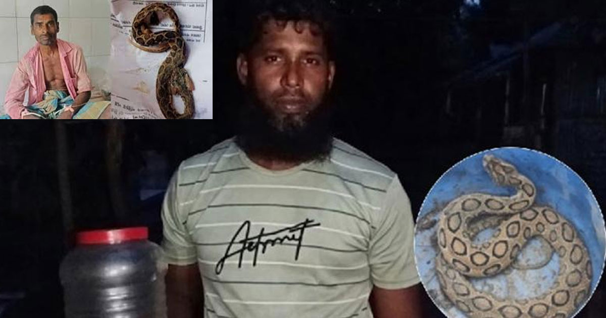 সাপে দংশনের পর সাপ নিয়ে হাসপাতালে দুইজন