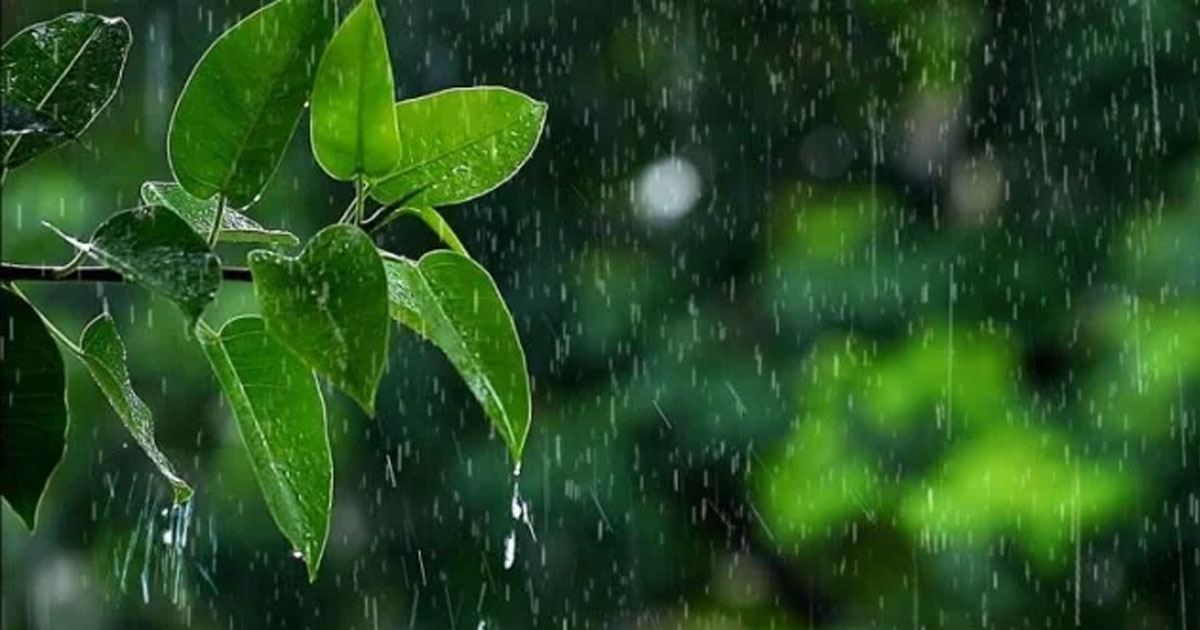 তিন বিভাগে ভারী বৃষ্টির আভাস