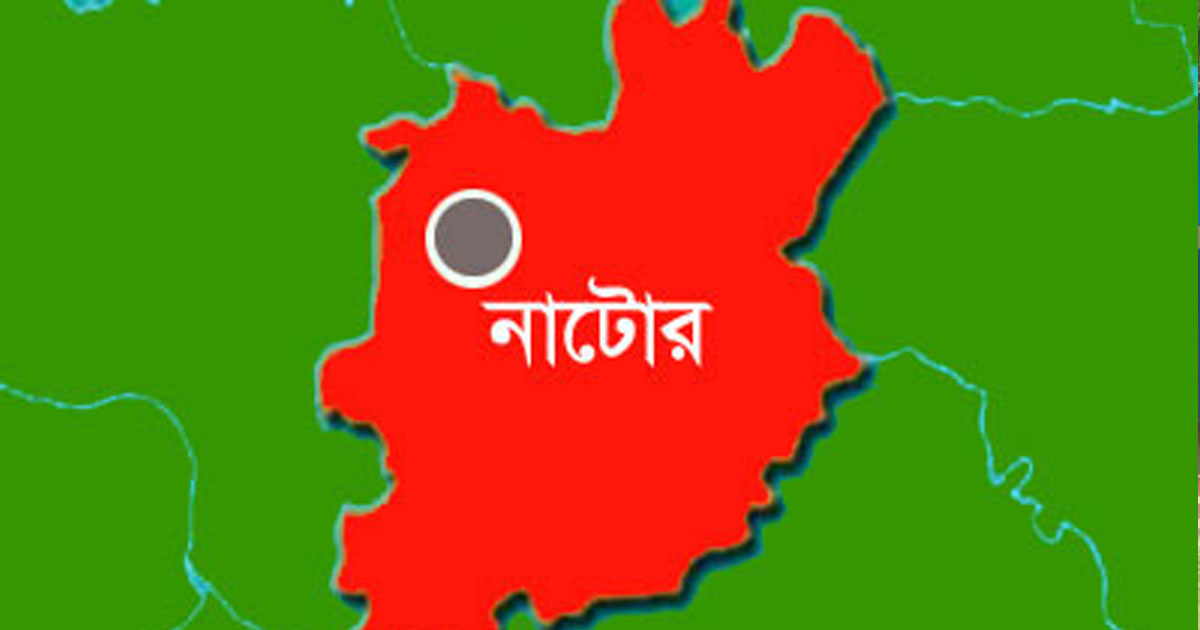 নাটোরের লালপুরে শিক্ষিকার ছোড়া ডাস্টারে আহত শিক্ষার্থী