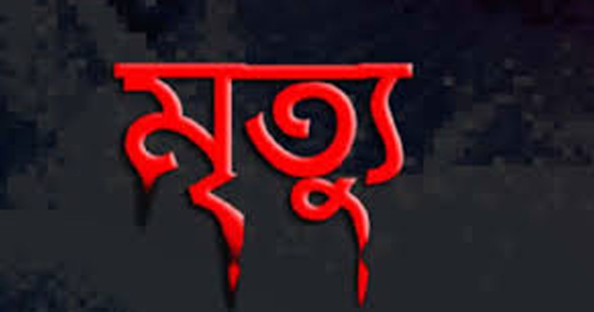 ঠাকুরগাঁওয়ে পৃথক দুর্ঘটনায় শিশু ও তরুণসহ ২ জনের মৃত্যু