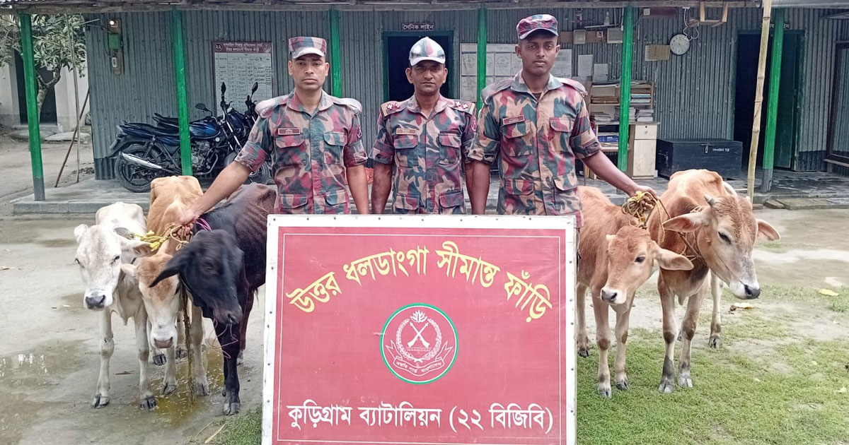 কুড়িগ্রাম সীমান্তে এক মাসে ১ কোটি ৭১ লাখ টাকার ভারতীয় পণ্য ও মাদক জব্দ