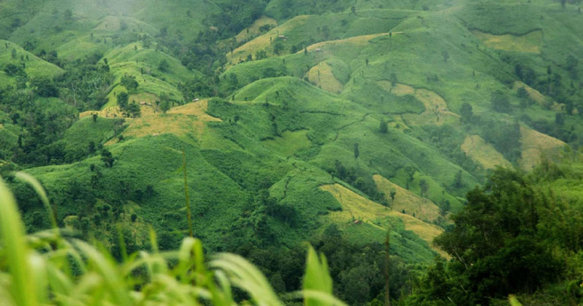 বান্দরবান সীমান্তে মাইন বিস্ফোরণে ৩ জন নিহত